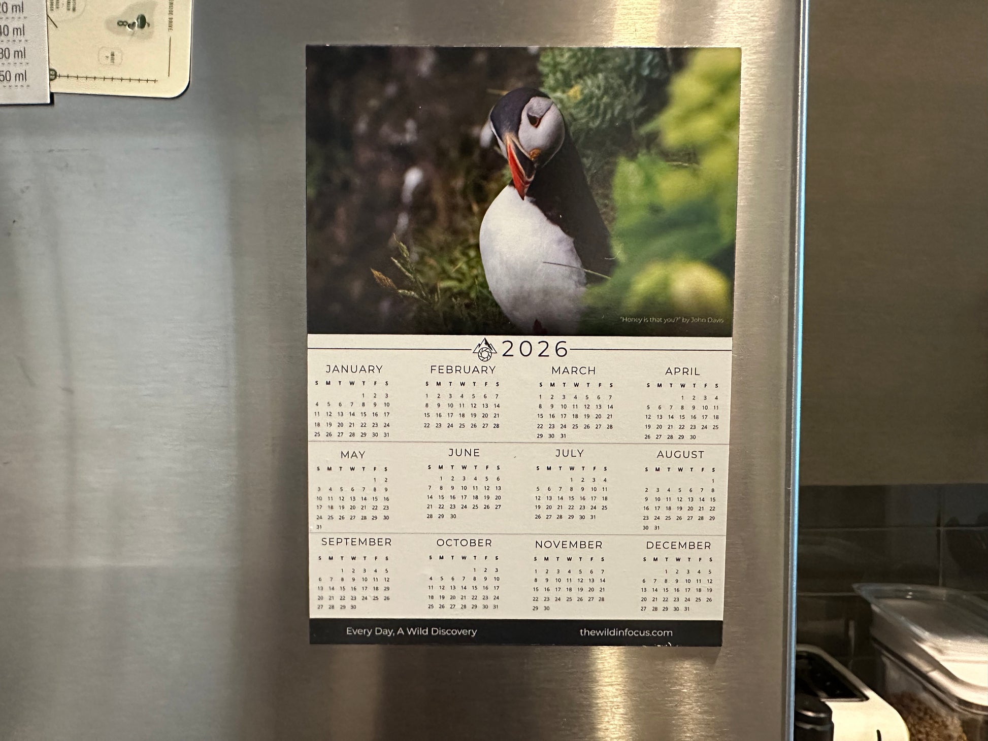 The Curious Puffin Iceland Calendar 2026 - Wildlife Photography Magnet Calendar (Pre-order) adds charm to a stainless steel refrigerator, showcasing months and days beneath a puffin photo, alongside a kitchen counter and a toaster.