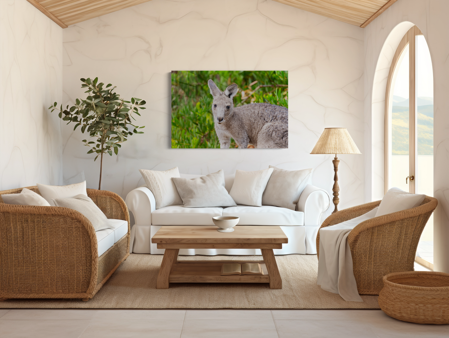 Misses Roo - Australian Kangaroo Portrait from Raymond Island