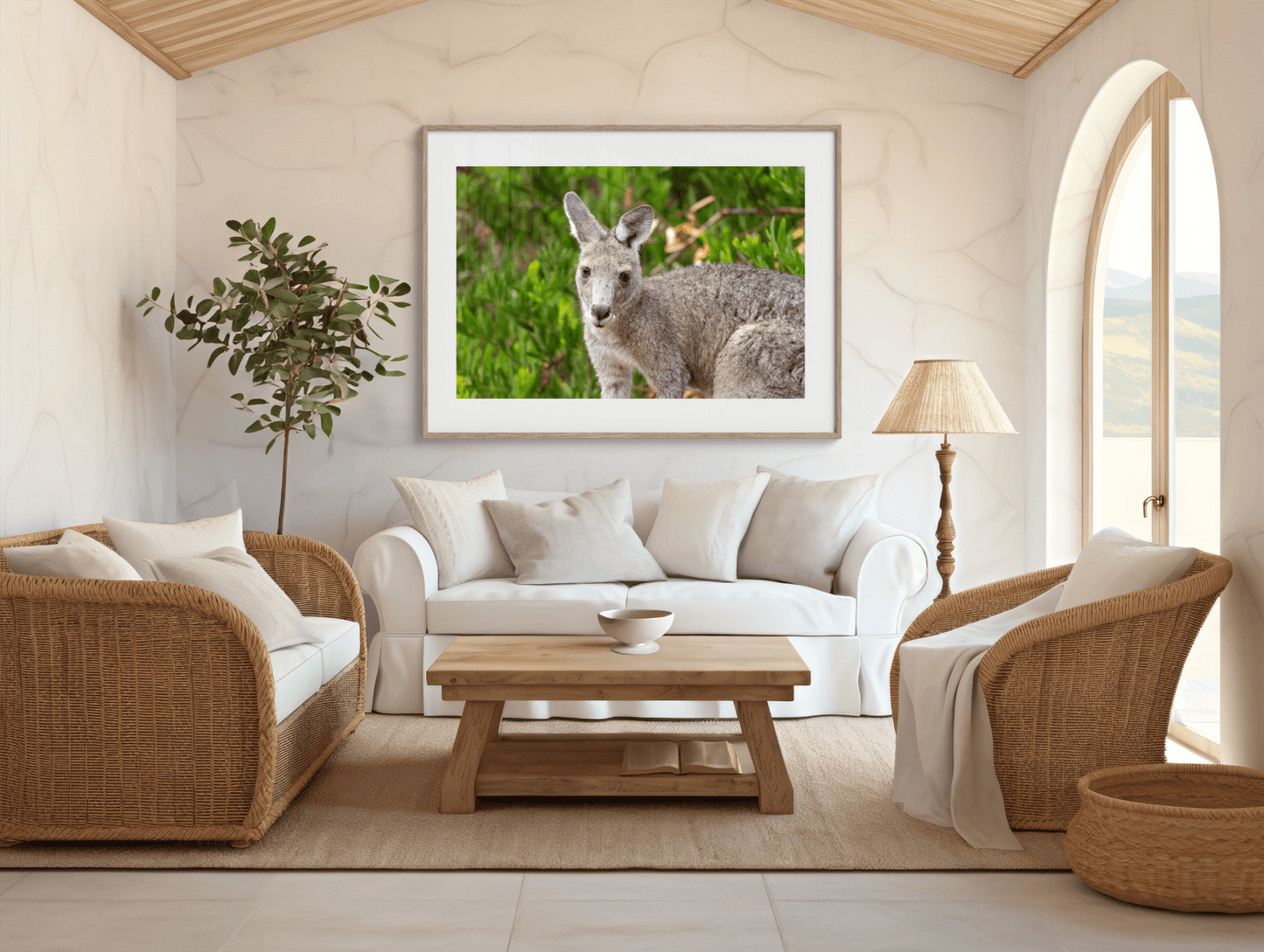 Misses Roo - Australian Kangaroo Portrait from Raymond Island