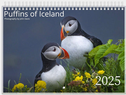 Cover of the 2025 Puffins of Iceland Wall Calendar. Two puffins stand among green leaves and yellow flowers on a gray-blue background. Text reads Photography by John Davis and 2025, featuring stunning Iceland wildlife photography.