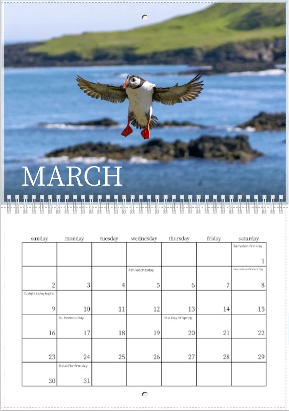 A puffin from the 2025 Puffins of Iceland Wall Calendar soars over rocky shores, with a March page below displaying holidays and events on a crisp white grid.