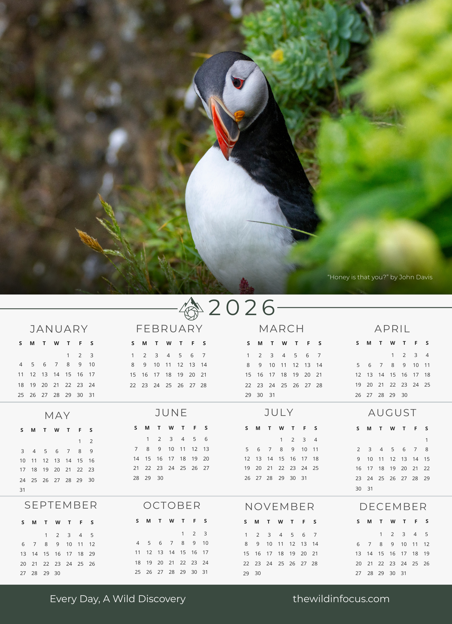 A close-up of an Atlantic puffin among green plants features above "The Curious Puffin Iceland Calendar 2026" magnet calendar—ideal kitchen decor for fans of Iceland wildlife photography. Pre-order now!.