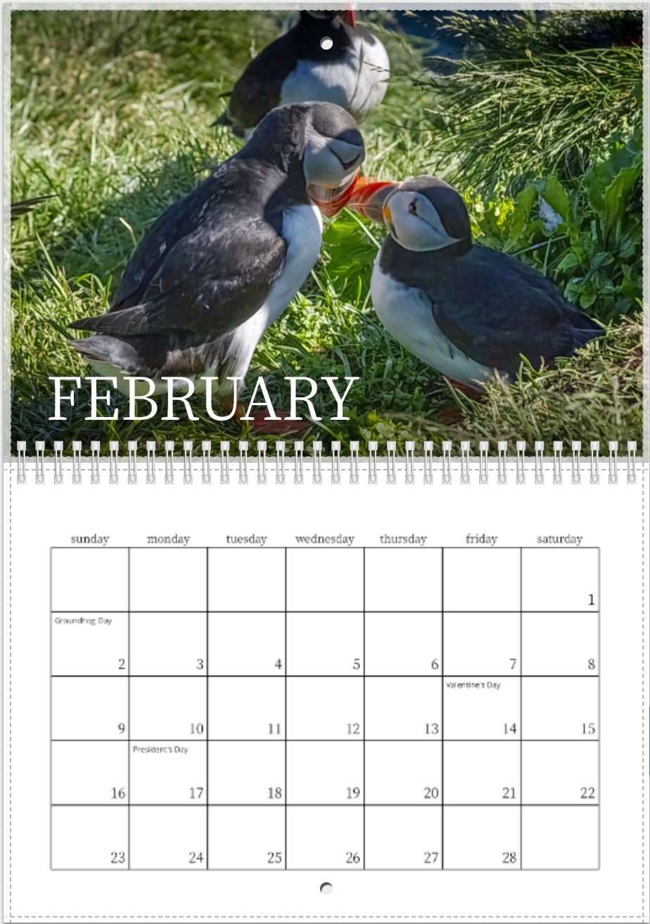 A page from the 2025 Puffins of Iceland Wall Calendar displays three puffins on grass (one facing the camera) and highlights holidays like Valentine’s Day and Presidents Day as part of its wildlife photography collection.