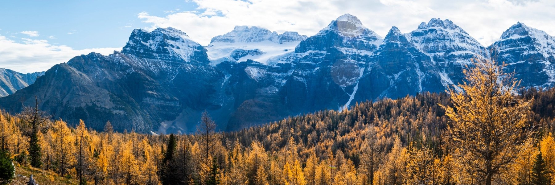Above the Larches - Banff National Park Fall Photography Print