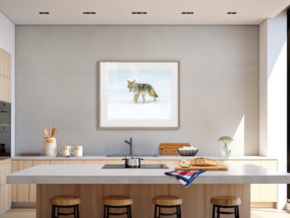 The Wanderer - Coyote Photography Print from Yellowstone Winter