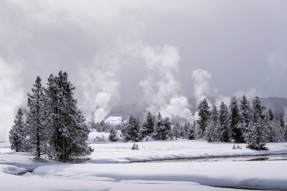 Nature's Central Heating - Yellowstone Winter Steam Landscape