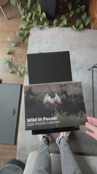 Person flips through wildlife calendar showcasing the collection of global wildlife images on a monthly wall calendar with all holidays. 