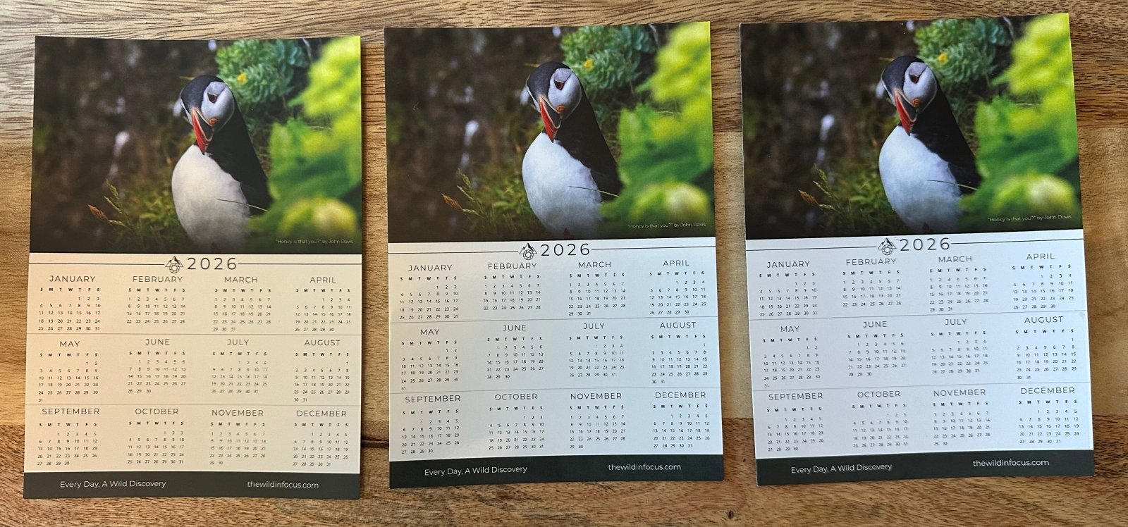 Three Puffin Calendar Bundle 2026 | Stocking Stuffers Save Up to $18 feature stunning Iceland wildlife photos, all twelve months, and “Every Day A Wild Discovery” text—ideal as a unique stocking stuffer.
