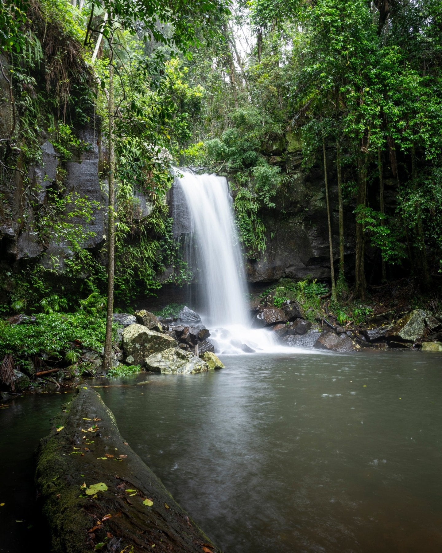 Rivers in the Rain - Australian Rainforest Waterfall Photography Print