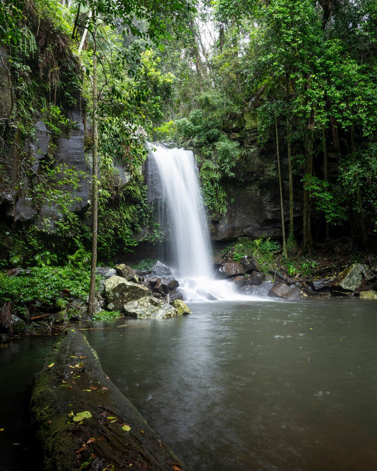Rivers in the Rain - Australian Rainforest Waterfall Photography Print