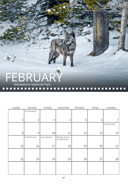 A lone gray wolf stands in a snowy forest clearing beside tall trees. Below, the February 2026 page of Wild in Focus: 2026 Wildlife Calendar highlights holidays like Groundhog Day, Valentine’s Day, and Lunar New Year.
