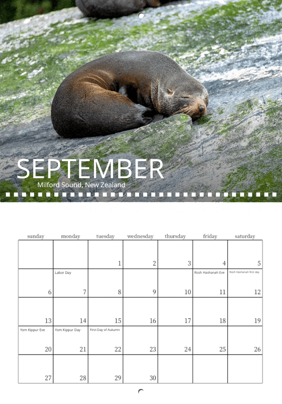 A fur seal sleeps on a flat rock at Milford Sound, New Zealand in this nature photo for September, featured in the Wild in Focus: 2026 Wildlife Calendar, which highlights holidays and observances.