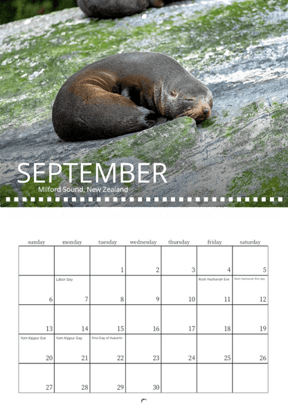 A fur seal sleeps on a flat rock at Milford Sound, New Zealand in this nature photo for September, featured in the Wild in Focus: 2026 Wildlife Calendar, which highlights holidays and observances.