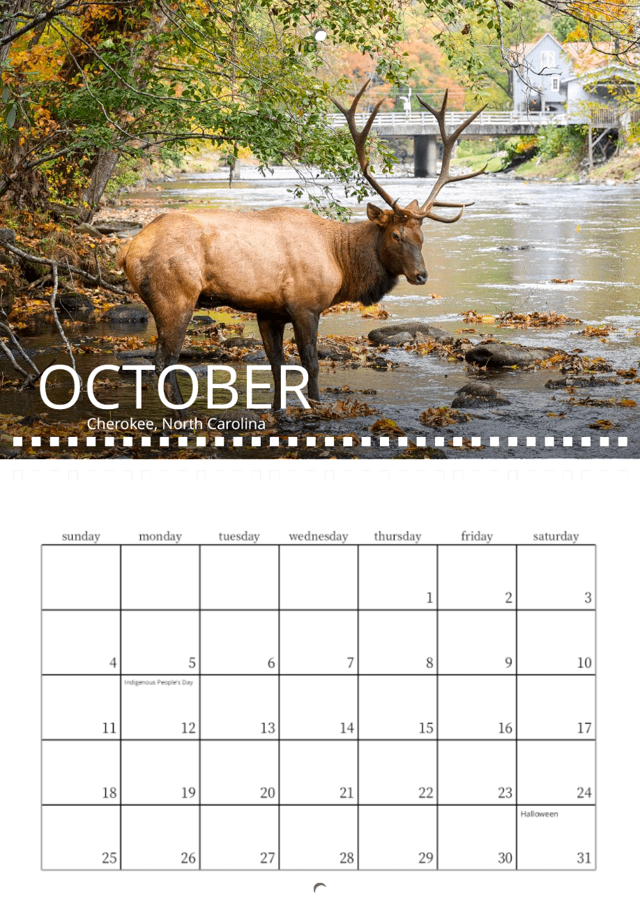 A large elk stands in a shallow river near colorful autumn trees, with a bridge and house in the background. This October scene from Cherokee, North Carolina is featured in the "Wild in Focus: 2026 Wildlife Calendar.