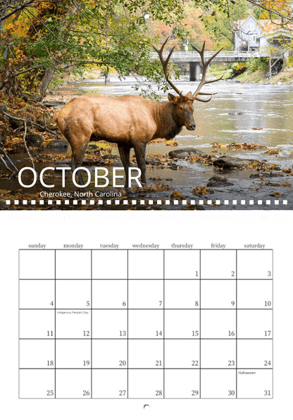 A large elk stands in a shallow river near colorful autumn trees, with a bridge and house in the background. This October scene from Cherokee, North Carolina is featured in the "Wild in Focus: 2026 Wildlife Calendar.
