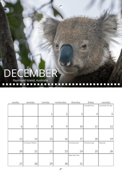 A close-up of a koala in a tree amid green leaves, featured in the Wild in Focus: 2026 Wildlife Calendar for December at Raymond Island, Australia. Shown dates include holidays like Hanukkah, Christmas, and New Year’s Eve.