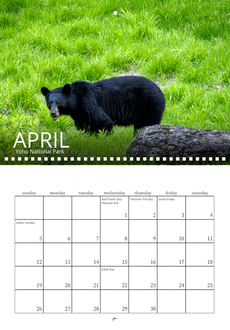 A black bear in bright green grass near a log at Yoho National Park features on the April page of the Wild in Focus: 2026 Wildlife Calendar, which also highlights holidays such as Easter Sunday and Earth Day.