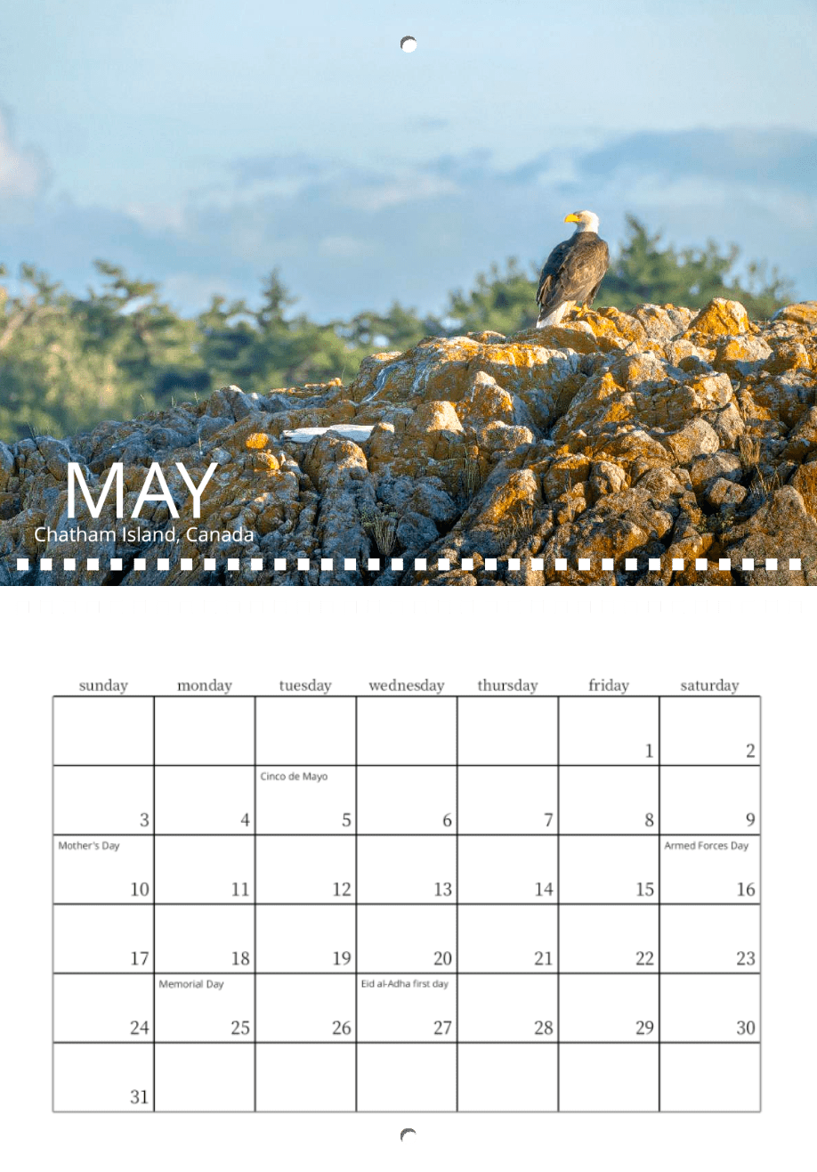 The Wild in Focus: 2026 Wildlife Calendar showcases a bald eagle on sunlit rocks with a blurred green forest in the background. May highlights U.S. holidays, photographed at Chatham Island, Canada.