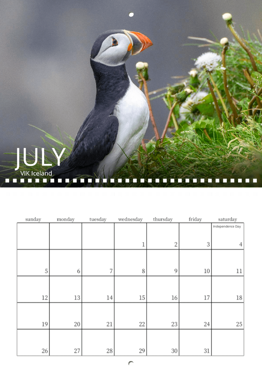 A puffin stands on grassy ground with white flowers atop the July 2026 Vik, Iceland page of the Wild in Focus: 2026 Wildlife Calendar. The grid for July is shown below, highlighting Independence Day on the 4th.