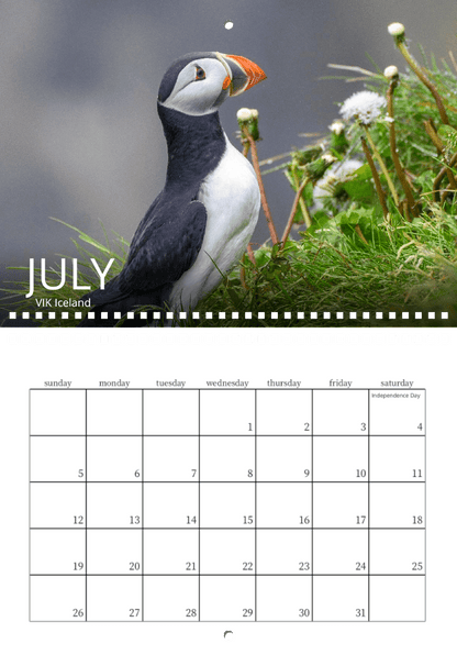 A puffin stands on grassy ground with white flowers atop the July 2026 Vik, Iceland page of the Wild in Focus: 2026 Wildlife Calendar. The grid for July is shown below, highlighting Independence Day on the 4th.