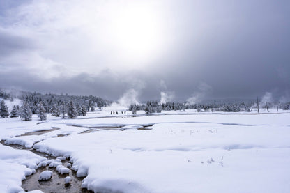 Worth the Rest - Yellowstone Winter Photography Print: A snowy Upper Geyser Basin scene with a steaming hot spring, creek, and pine trees under a bright sky—ideal for nature wall art or Yellowstone lovers.