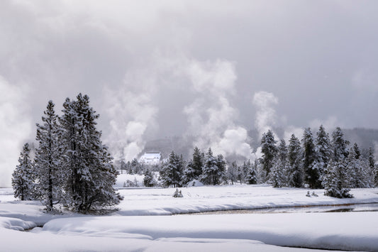 Nature's Central Heating - Yellowstone Winter Steam Landscape